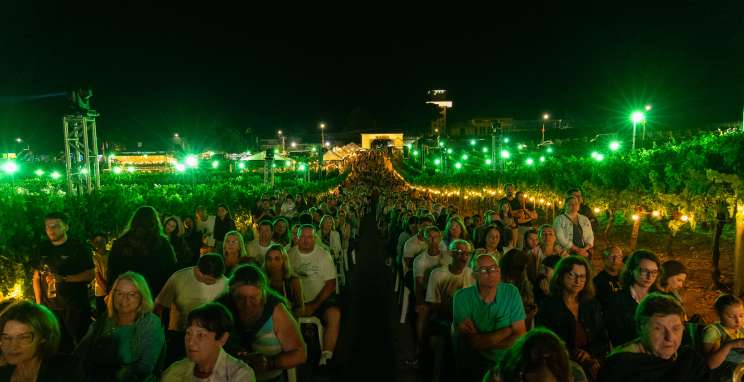 Crédito: Rodi Goulart