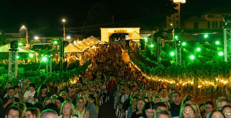 Aclamado pelo público, Natal nos Vinhedos abre programação da 4ª edição