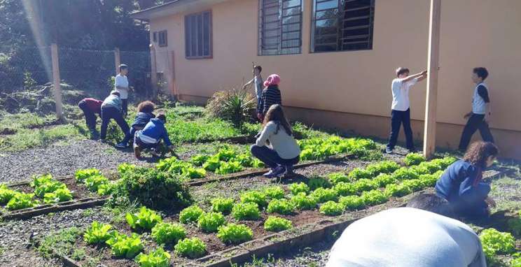 Parceiros Voluntários firma convênio com escolas de Monte Belo do Sul pelo projeto Tribos