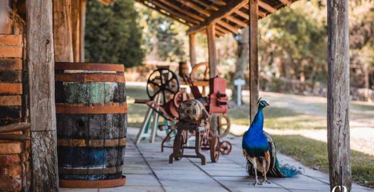 Vinícola Dal Pizzol elabora, em Faria Lemos, vinhos que contam histórias