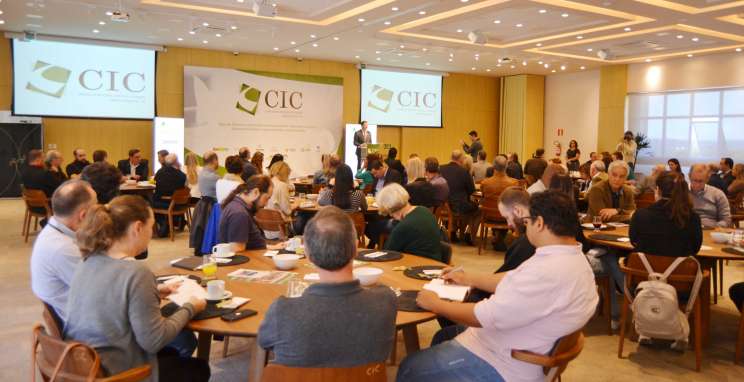 “Vou brigar muito pela cultura”, diz Beatriz Araujo