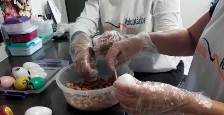 ONG Parceiros Voluntários entrega cerca de 500 ovinhos de Páscoa aos profissionais de saúde do Hospital Tacchini 