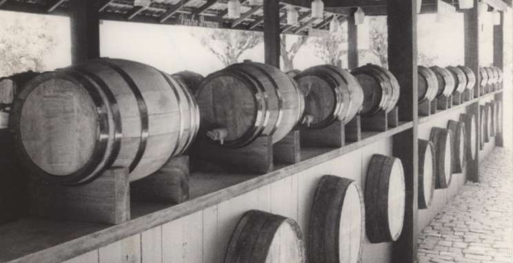 Fenavinho e ExpoBento integram programação do Dia do Vinho Brasileiro