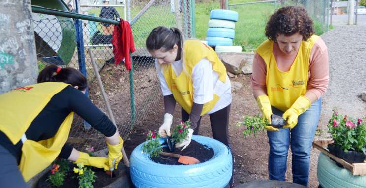 Desafio Voluntário convida comunidade para prática da solidariedade 