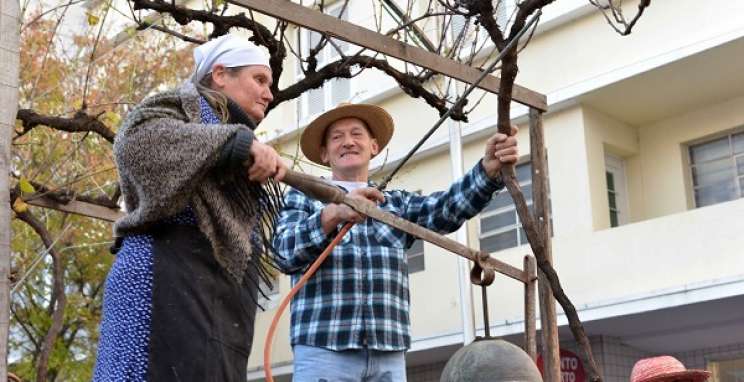 Desfile Cultural - Crédito Gilmar Gomes