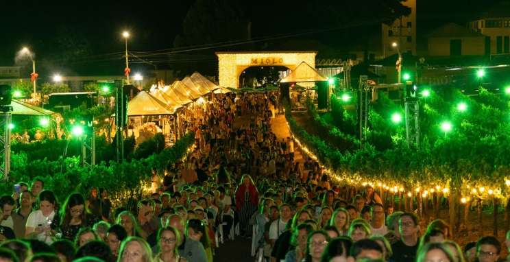 Clima convidativo impulsiona presença de visitantes no Natal nos Vinhedos