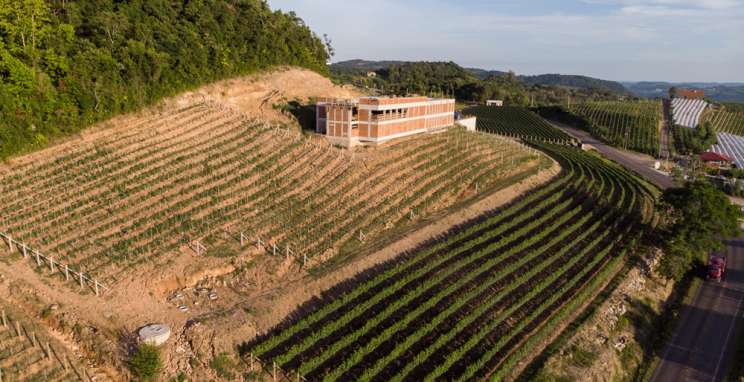 Bodega Iribarrem, um vinícola que elabora e comercializa vinhos de alto padrão