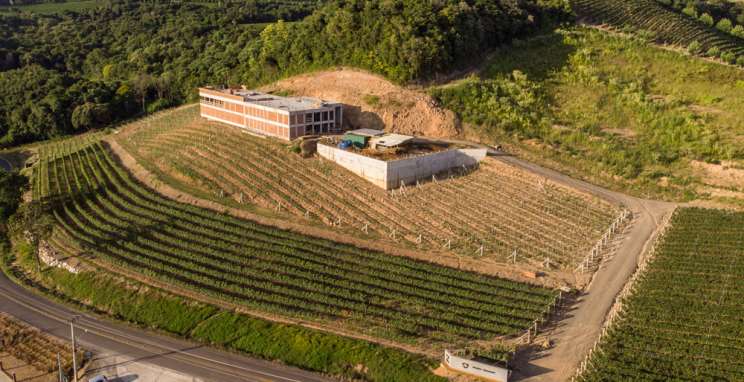 Bodega Iribarrem, um vinícola que elabora e comercializa vinhos de alto padrão