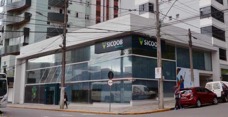 Leãozinho do Bem ainda recebe contribuições provenientes da destinação do IR