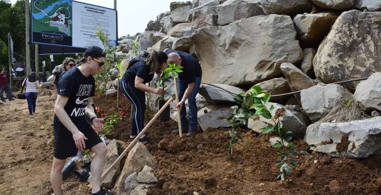 Empresa doa mudas de árvores e flores para parque adaptado a pessoas com deficiência