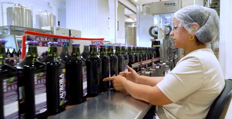  Envase Brasil apresentará respostas do setor de alimentos aos desafios das mudanças climáticas