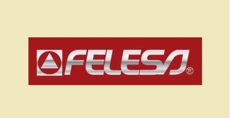 Felesa, uma apaixonada por churrasco