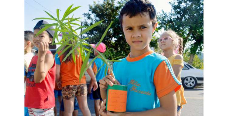 Projeto Tribos, da Parceiros Voluntários, conscientiza sobre o reflorestamento