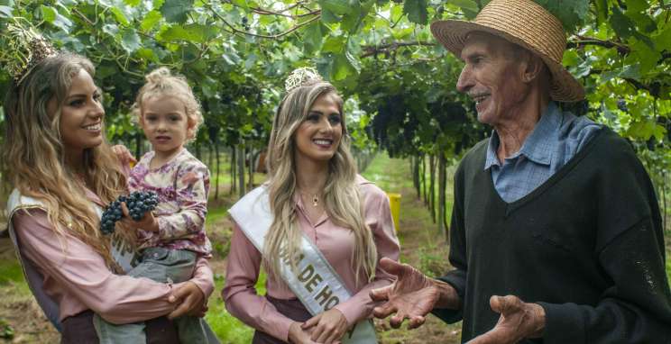   Fenavinho lança documentário sobre produção do 'Vinho da Corte'