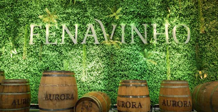 Cinco atrações para curtir a Festa Nacional do Vinho