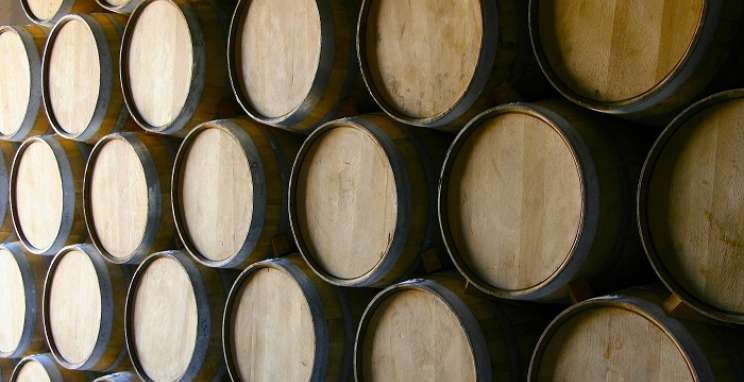 Indústria Vinícola teve expansão