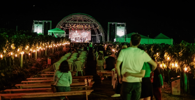 Natal nos Vinhedos chega à quarta edição reafirmando propósito no turismo de experiências