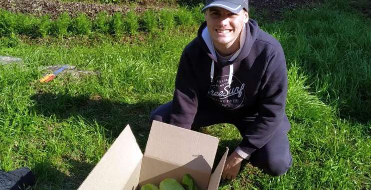 Projeto oferece alimentos a instituições de amparo social