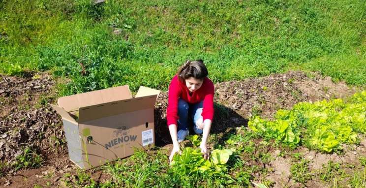 Projeto oferece alimentos a instituições de amparo social