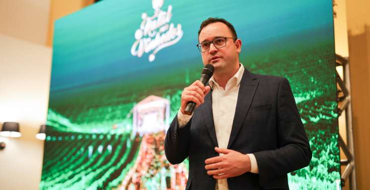 Natal nos Vinhedos impulsiona turismo de experiência com agenda de shows e atrações enogastronômicas