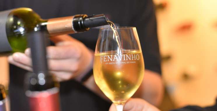 Recordes de público e geração de negócios celebram sucesso da 30ª ExpoBento e 17ª Fenavinho