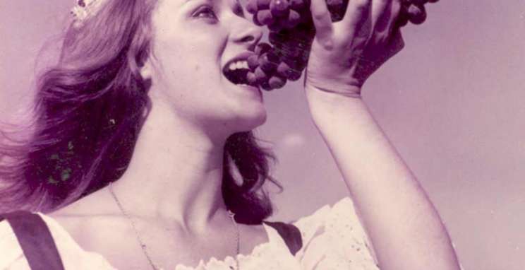 Fenavinho escolhe corte para 16ª edição