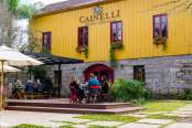 Vinícola Cainelli estimula as pessoas a sentirem o prazer do vinho