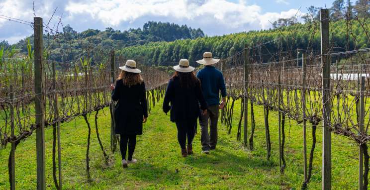 Vinícola Cainelli estimula as pessoas a sentirem o prazer do vinho