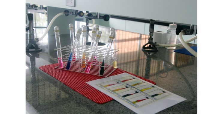 Cursos da área da Vida da UCS Bento tem inúmeras possibilidades de aprendizado