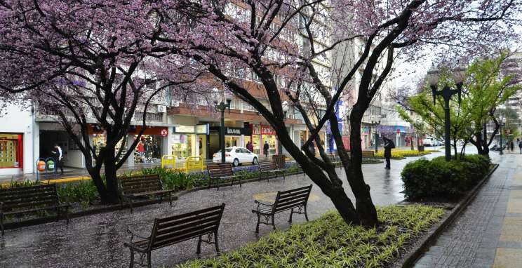 Bento Gonçalves gerou 934 vagas de trabalho no primeiro semestre do ano