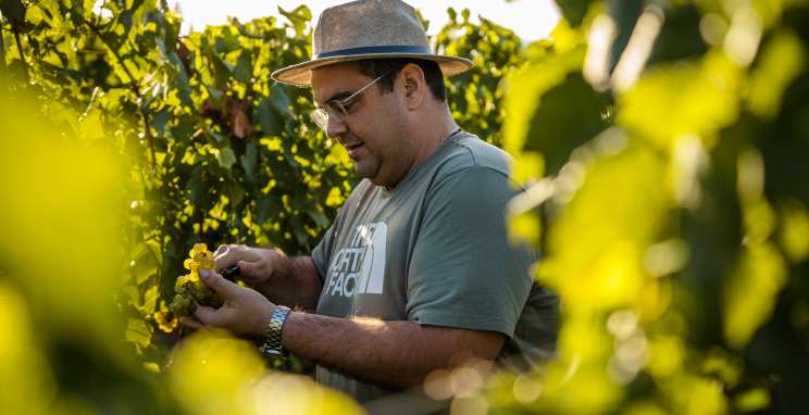 Bodega Iribarrem, um vinícola que elabora e comercializa vinhos de alto padrão