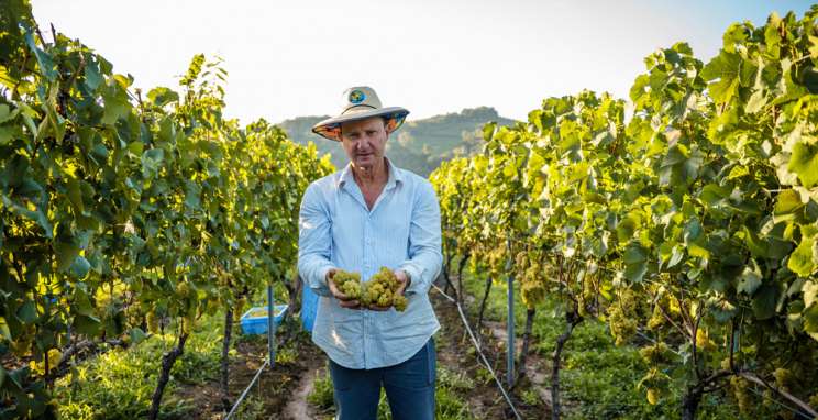 Bodega Iribarrem, um vinícola que elabora e comercializa vinhos de alto padrão