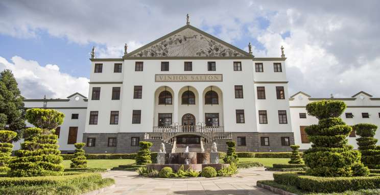 Vinícola Salton brinda 110 anos de história em 2020