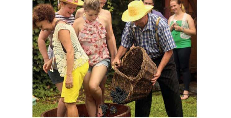Vinícola Cainelli propaga o amor pelo vinho