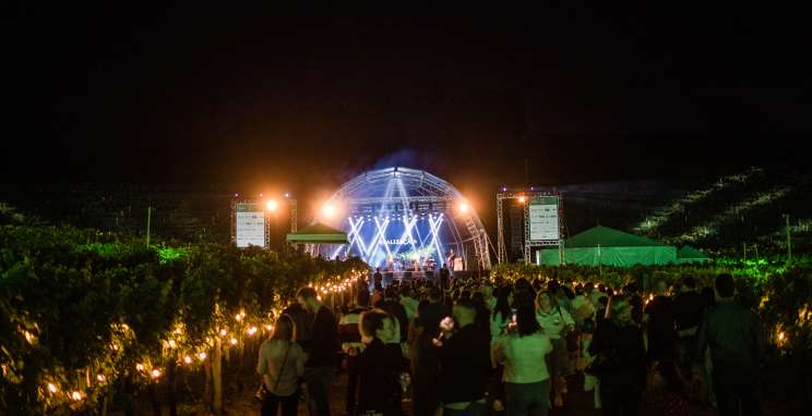 Natal nos Vinhedos se consolida como atrativo turístico na Serra